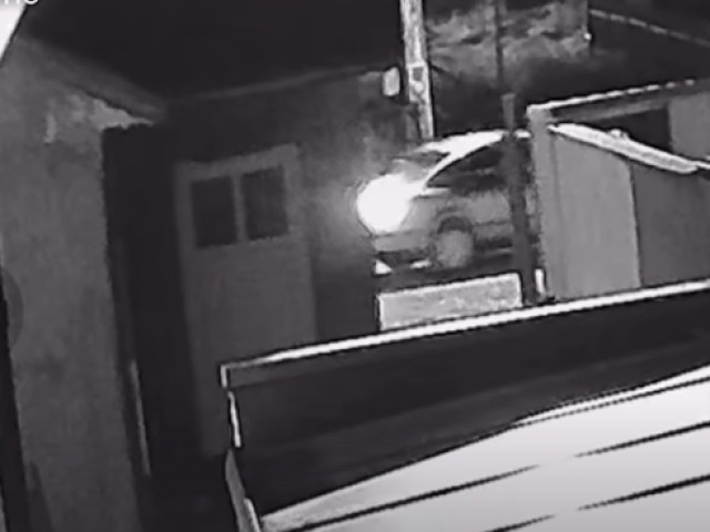 Soția lui Florinel Coman a publicat imaginile! Au dat târcoale casei: ”Tentația este mare”