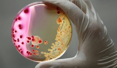 Bacteriile devin tot mai puternice, iar antibioticele tot mai slabe. Una din șase infecții bacteriene este rezistentă la tratament