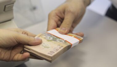 bani, lei, bancnote, cash, numerar