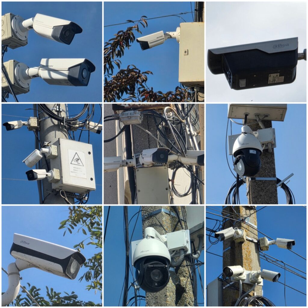 camere chinezesti dobrogea