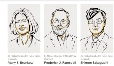 Doi cercetători americani și un cercetător japonez, laureații Premiului Nobel pentru Medicină 2025