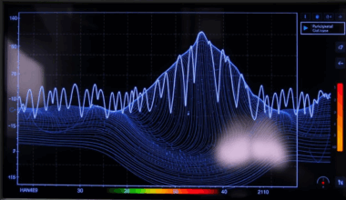 Vrancea, Satu Mare și Marea Neagră