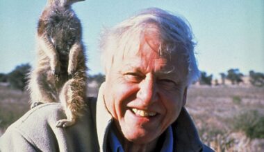 David Attenborough a devenit cel mai în vârstă câştigător al unui Daytime Emmy. Britanicul de 99 de ani a realizat un film Neflix despre un grup de maimuțe care trăiesc în jungla din Sumatra