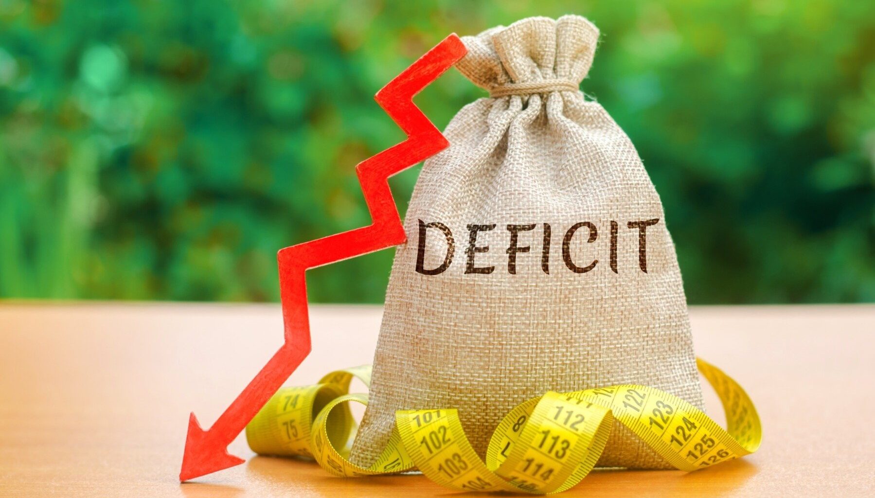 Mă doare în cot de deficitul bugetar! / Când ai aur în pământ, când ai gaze şi tu nu faci nimic, de ce ne plângem? Când se doreşte, vin Banca Mondială sau FMI-ul şi şterg din pix