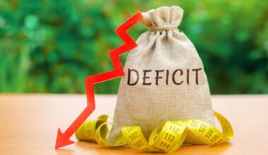 Mă doare în cot de deficitul bugetar! / Când ai aur în pământ, când ai gaze şi tu nu faci nimic, de ce ne plângem? Când se doreşte, vin Banca Mondială sau FMI-ul şi şterg din pix