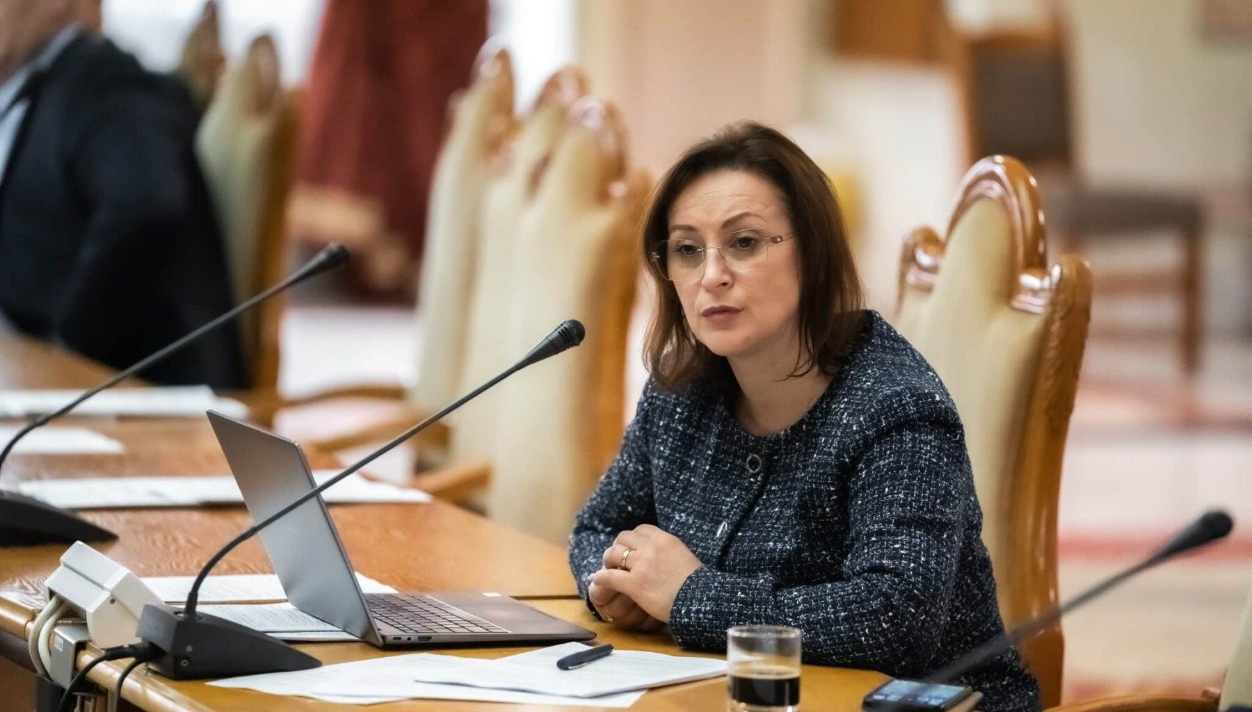 dumitrina mitrea deputat aur