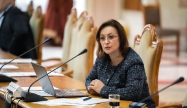 dumitrina mitrea deputat aur