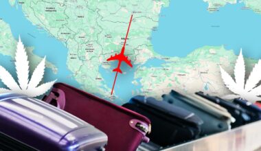 Un albanez, reţinut pe Aeroportul Otopeni cu 26 kg de canabis în bagaje