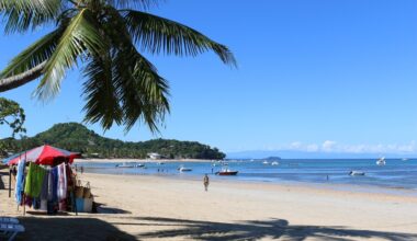 Atenționare de călătorie pentru Madagascar. Toate cursele aeriene au fost suspendate