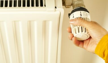 ”Se va desfășura etapizat, pentru a asigura un proces controlat și sigur”