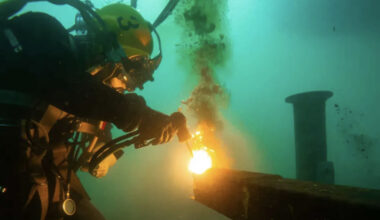 Monede de aur în valoare de 1 milion de dolari