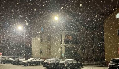 zapada iarna ninsoare