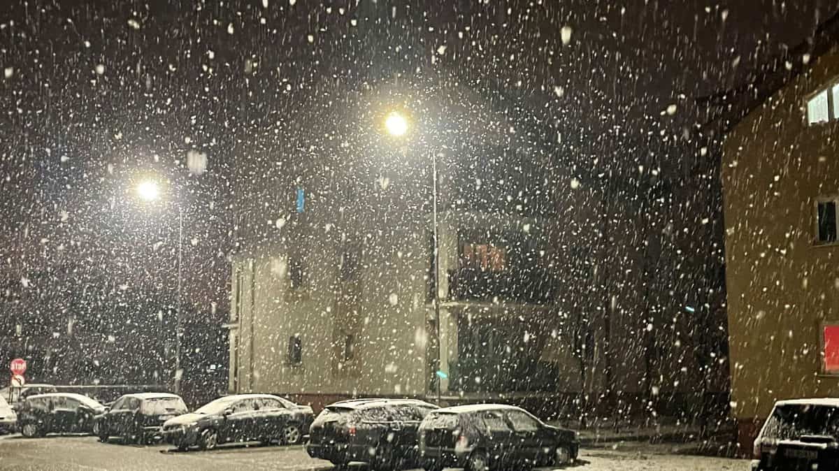 zapada iarna ninsoare