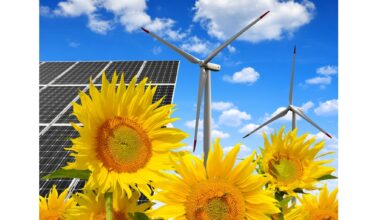 Revin fondurile europene de 150 milioane EUR pentru eoliene și panouri solare, la ferme și firme de procesare agro-alimentară