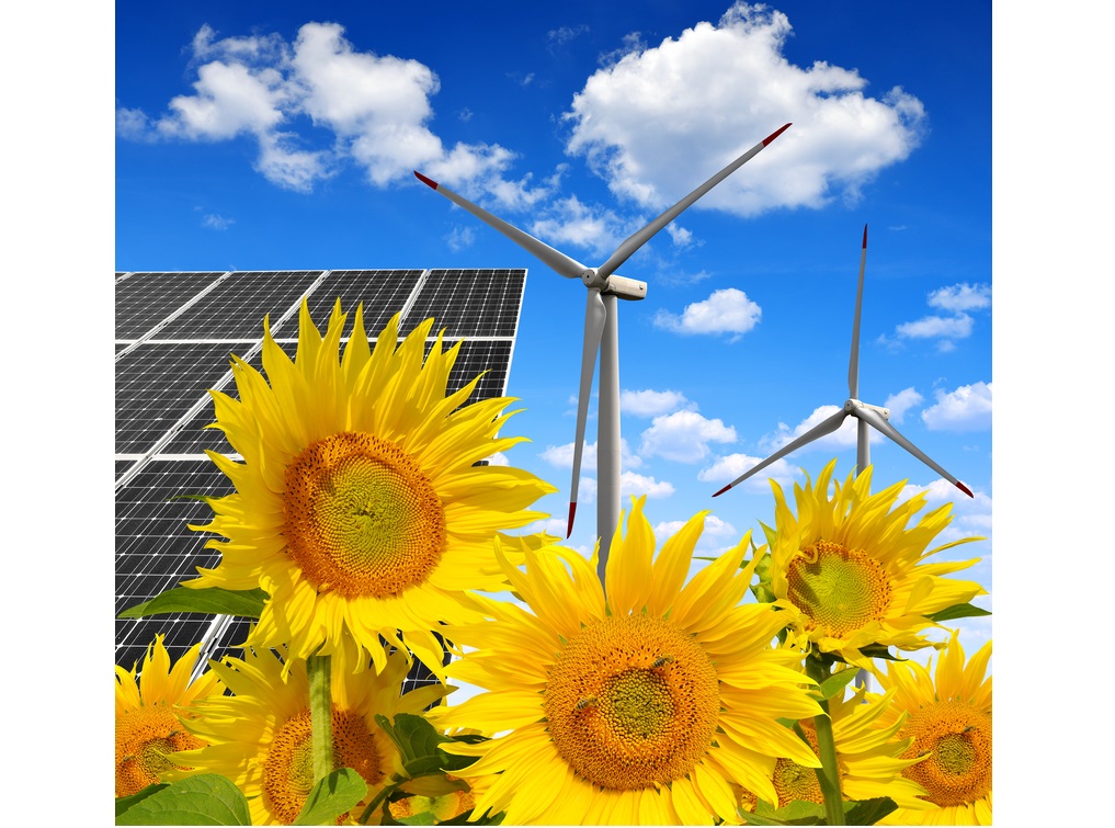 Revin fondurile europene de 150 milioane EUR pentru eoliene și panouri solare, la ferme și firme de procesare agro-alimentară