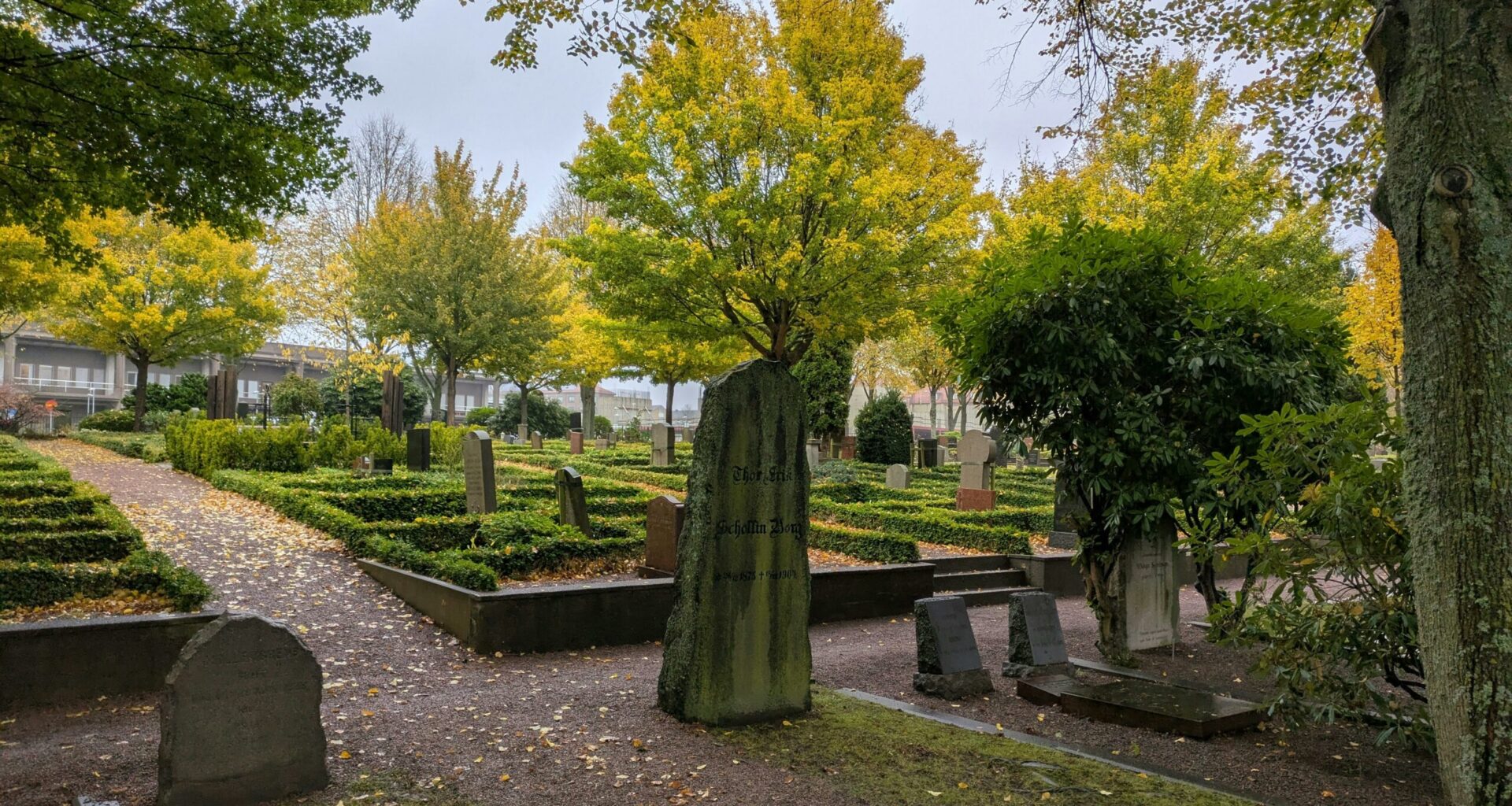 Hoții români abandonează sute de kilograme de obiecte furate