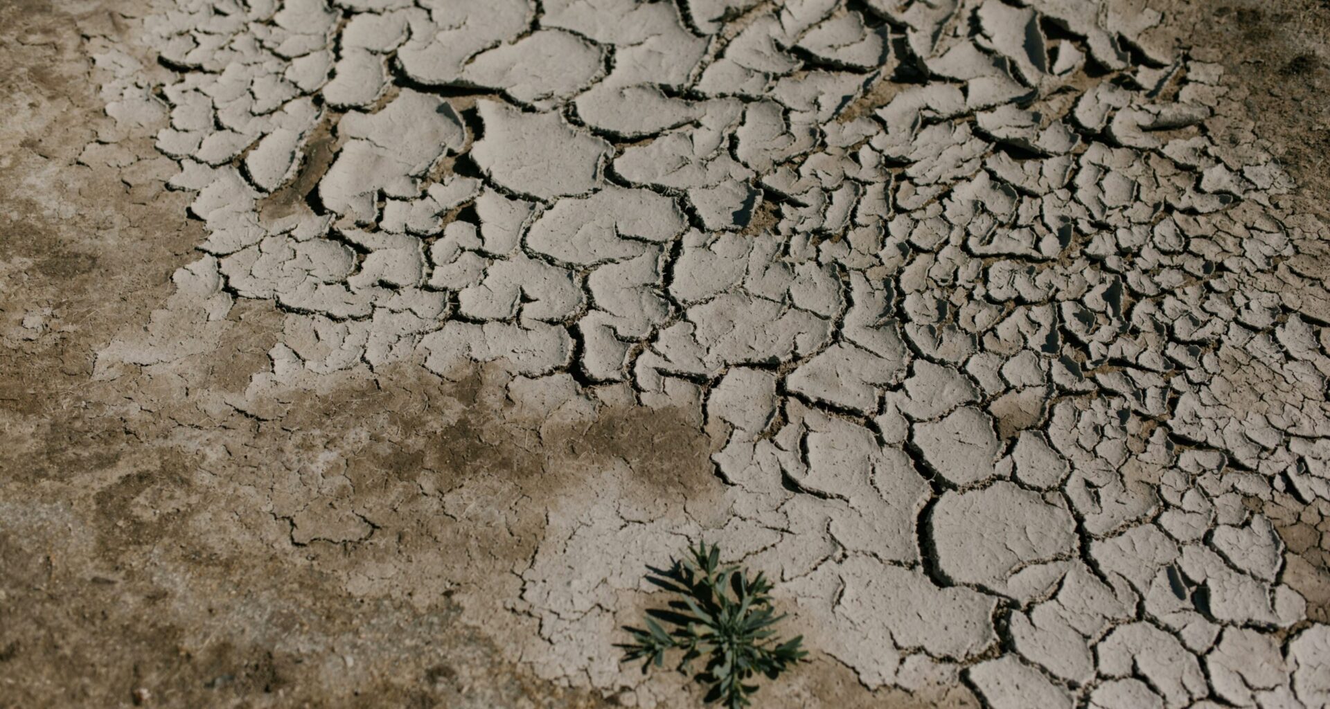 Un stat din Orientul Mijlociu ar putea muta capitala din cauza crizei de apă și a tasării terenului