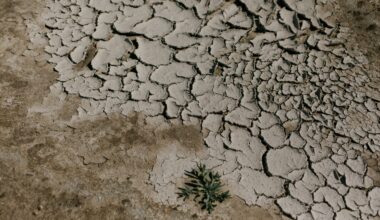 Un stat din Orientul Mijlociu ar putea muta capitala din cauza crizei de apă și a tasării terenului