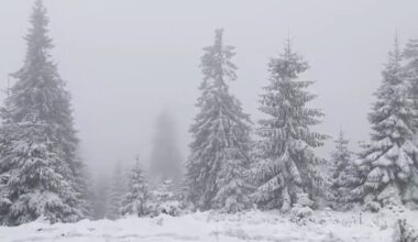 Stratul de zăpadă a ajuns la 3 centimetri la stația meteo Iezer