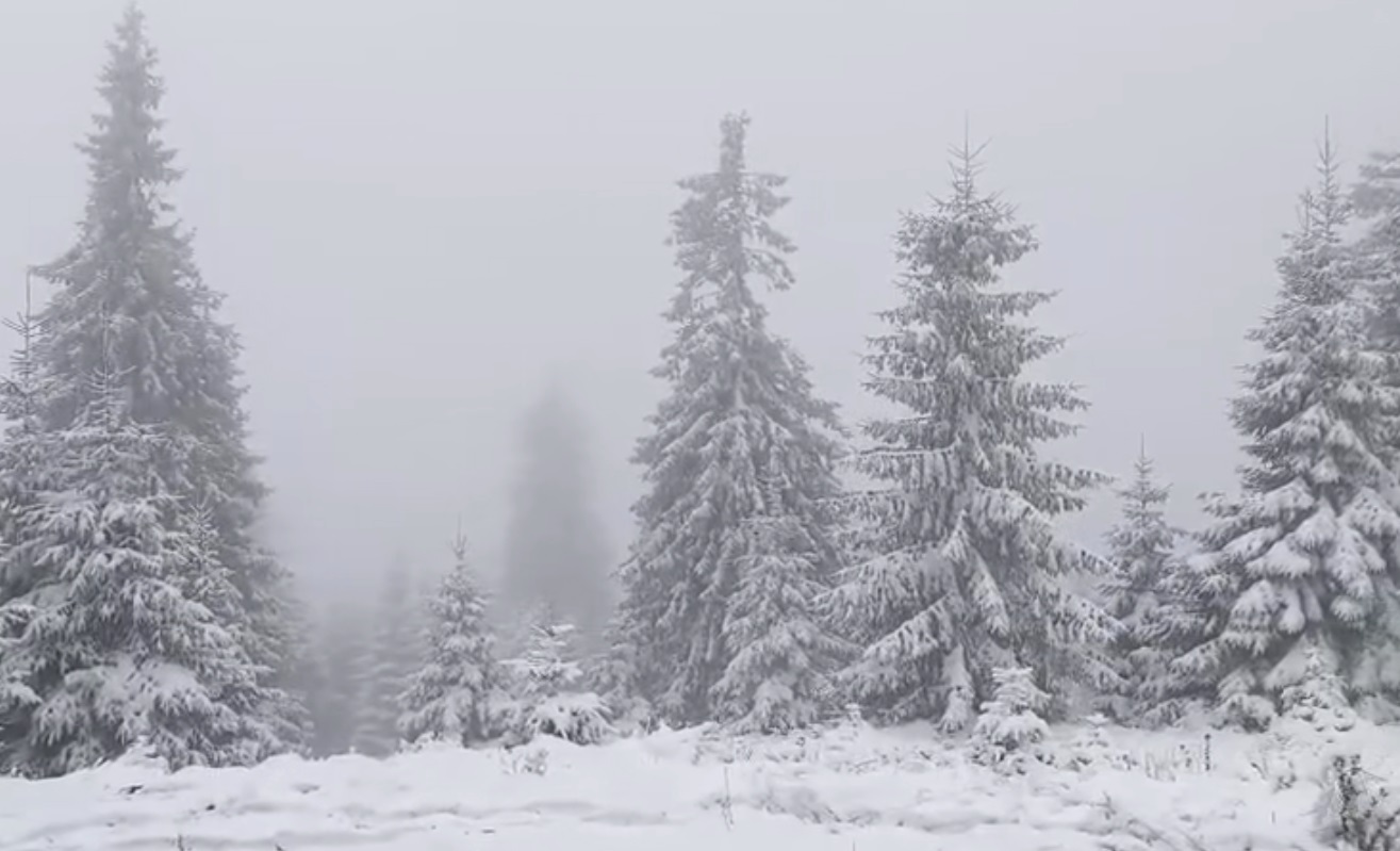 Stratul de zăpadă a ajuns la 3 centimetri la stația meteo Iezer