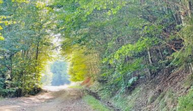 Cât mai ține frigul - Alba24