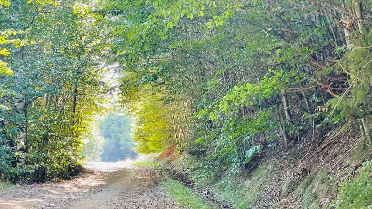 Cât mai ține frigul - Alba24