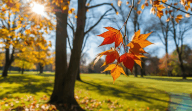 Cum va fi vremea până la finalul lunii octombrie? Prognoza pentru următoarele două săptămâni pe regiuni