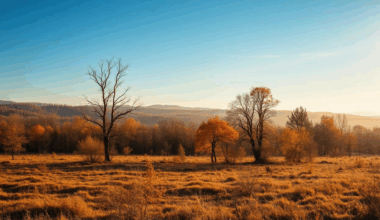 Mai cald decât ar trebui și ploi puține