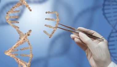 „Este posibil să trăim mai mult”. Cercetătorii au descifrat codul ADN al celui mai longeviv mamifer