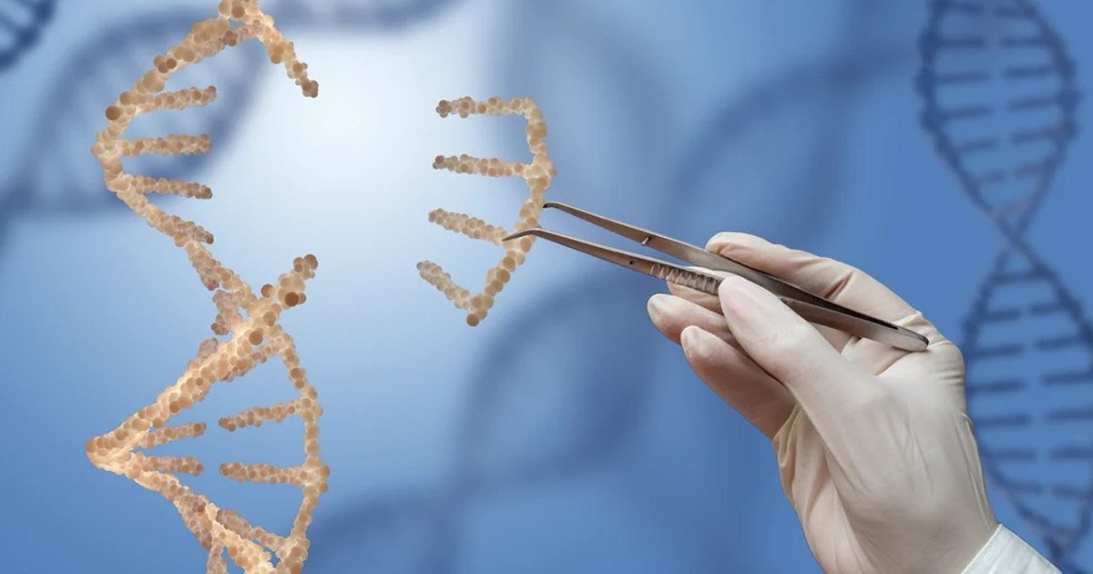 „Este posibil să trăim mai mult”. Cercetătorii au descifrat codul ADN al celui mai longeviv mamifer