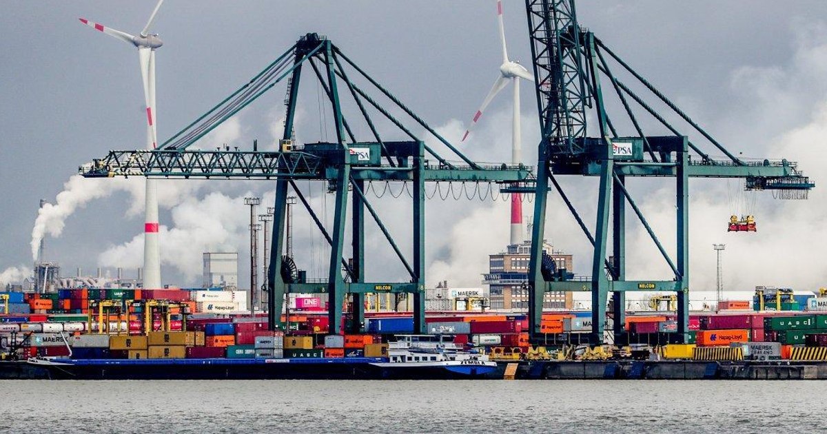 Jaf de proporții în Belgia. Cum au reușit niște români să fure 14 mașini din Portul Anvers într-un weekend