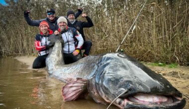 „Un adevărat monstru”. Cel mai mare somn pescuit la undiță a fost prins de doi polonezi