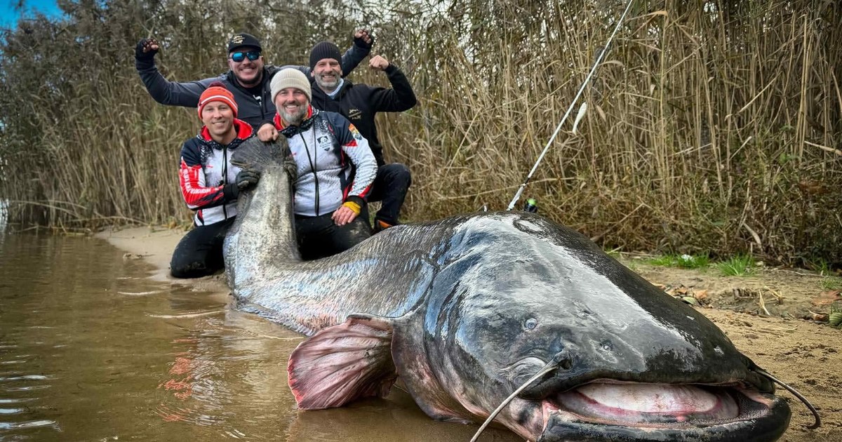 „Un adevărat monstru”. Cel mai mare somn pescuit la undiță a fost prins de doi polonezi