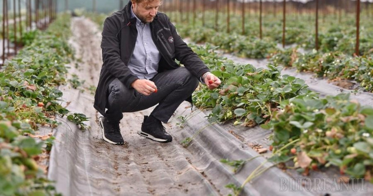 De la cioban la milionar: ascensiunea impresionantă a afaceristului acuzat că ducea mita cu elicopterul