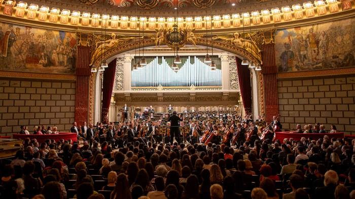 Muzica, la picioarele lui Sergiu Celibidache