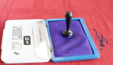 Oficial! Avem lista celor 17 candidați pentru Primăria Capitalei