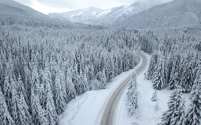 Zăpadă în Parâng. FOTO Shutterstock