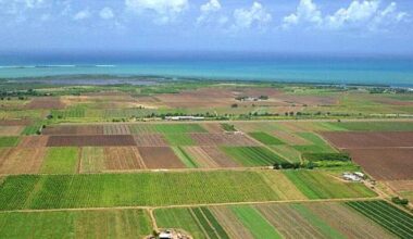 Lovitură pentru agricultori: crește cu 140% baza de impozitare a terenurilor