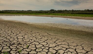 Europa se usucă, arată date din satelit. România, printre zonele cu risc de secetă