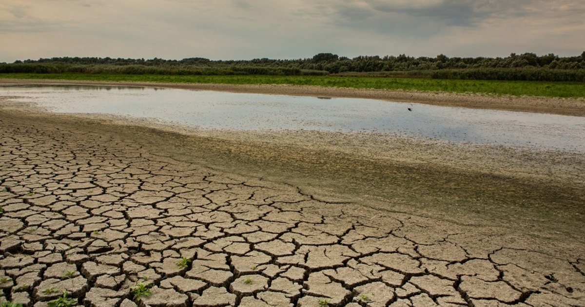 Europa se usucă, arată date din satelit. România, printre zonele cu risc de secetă