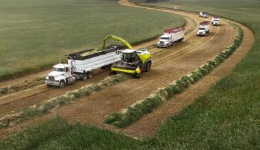 Un nou tocător de furaje Claas cu un motor V12 diesel imens a marcat un record mondial la randamentul strângerii roadei, cu 30 de camioane alături | PiataAuto.md