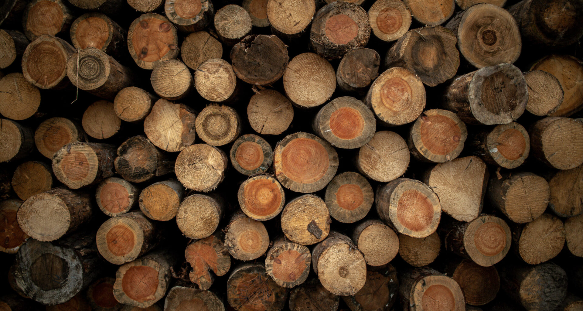 Ajutor de încălzire și supliment pentru energie 2025–2026: cine poate beneficia și când se fac plățile