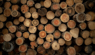 Ajutor de încălzire și supliment pentru energie 2025–2026: cine poate beneficia și când se fac plățile