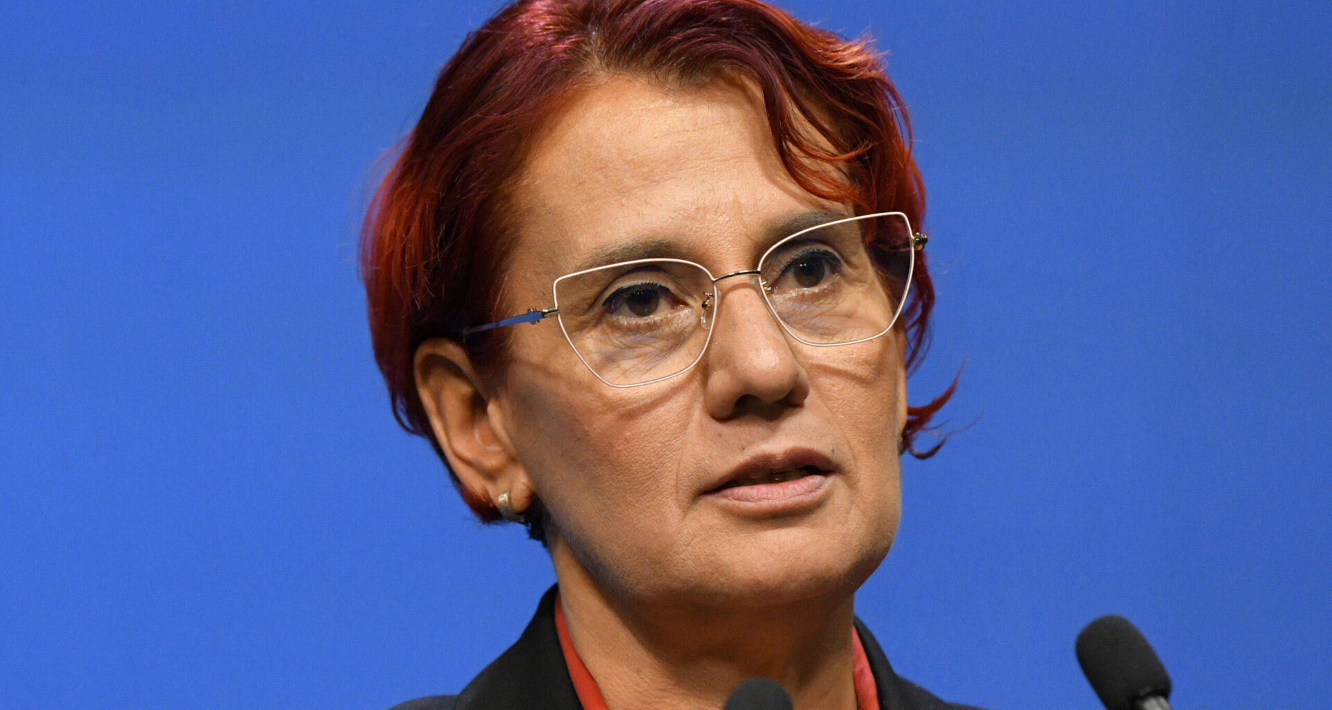 Culisele numirii Ioanei Ene Dogioiu la radio, din partea Guvernului Bolojan