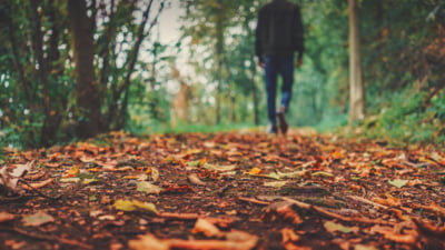 Cum va fi vremea luni, 17 noiembrie. Meteorologii anunță temperaturi neobișnuite pentru această perioadă din an