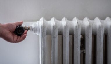 Stenogramele care arată cum sufereau românii de frig pe vremea lui Ceaușescu