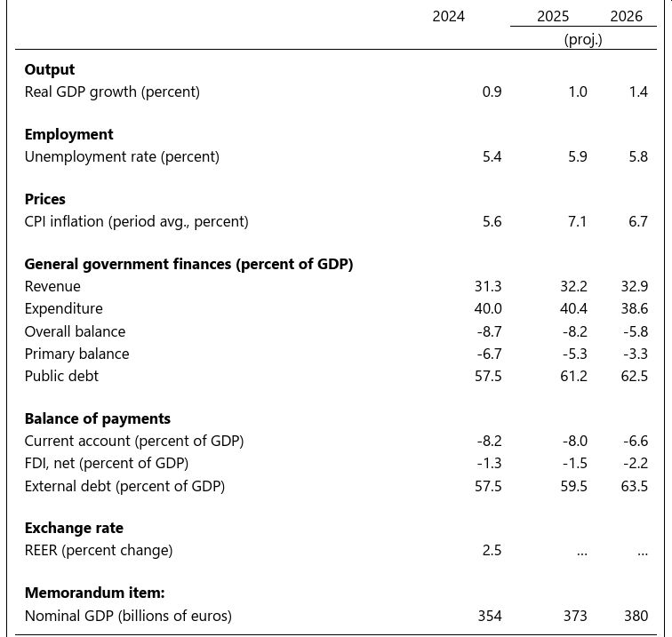 date FMI raport noiembrie 2025