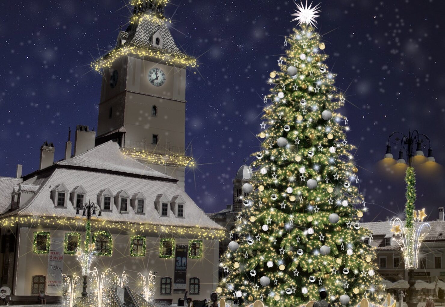 Romsilva vinde peste 16.000 de pomi de Crăciun. Cât costă un brad pentru împodobit