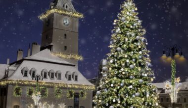 Romsilva vinde peste 16.000 de pomi de Crăciun. Cât costă un brad pentru împodobit