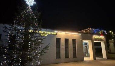 Uite bradul, nu e bradul la Ițcani